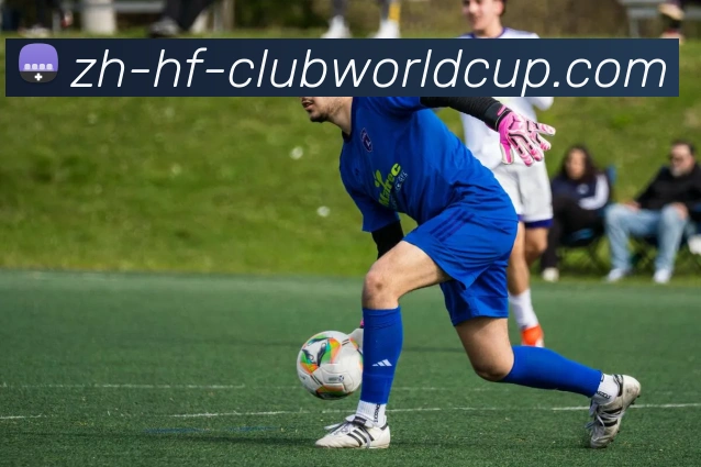 世界杯官网平台生态图